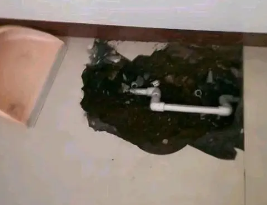 安国市卫生间测漏水多少钱