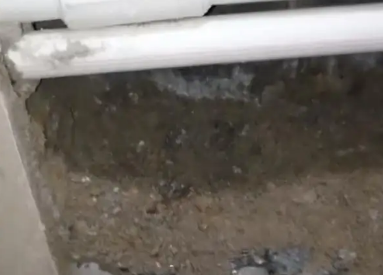 安国市卫生间测漏水多少钱